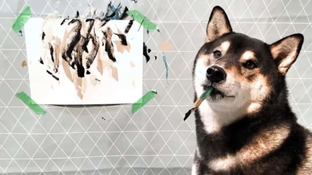 Owners Teach Their Shiba Inu to Paint to Communicate With Him