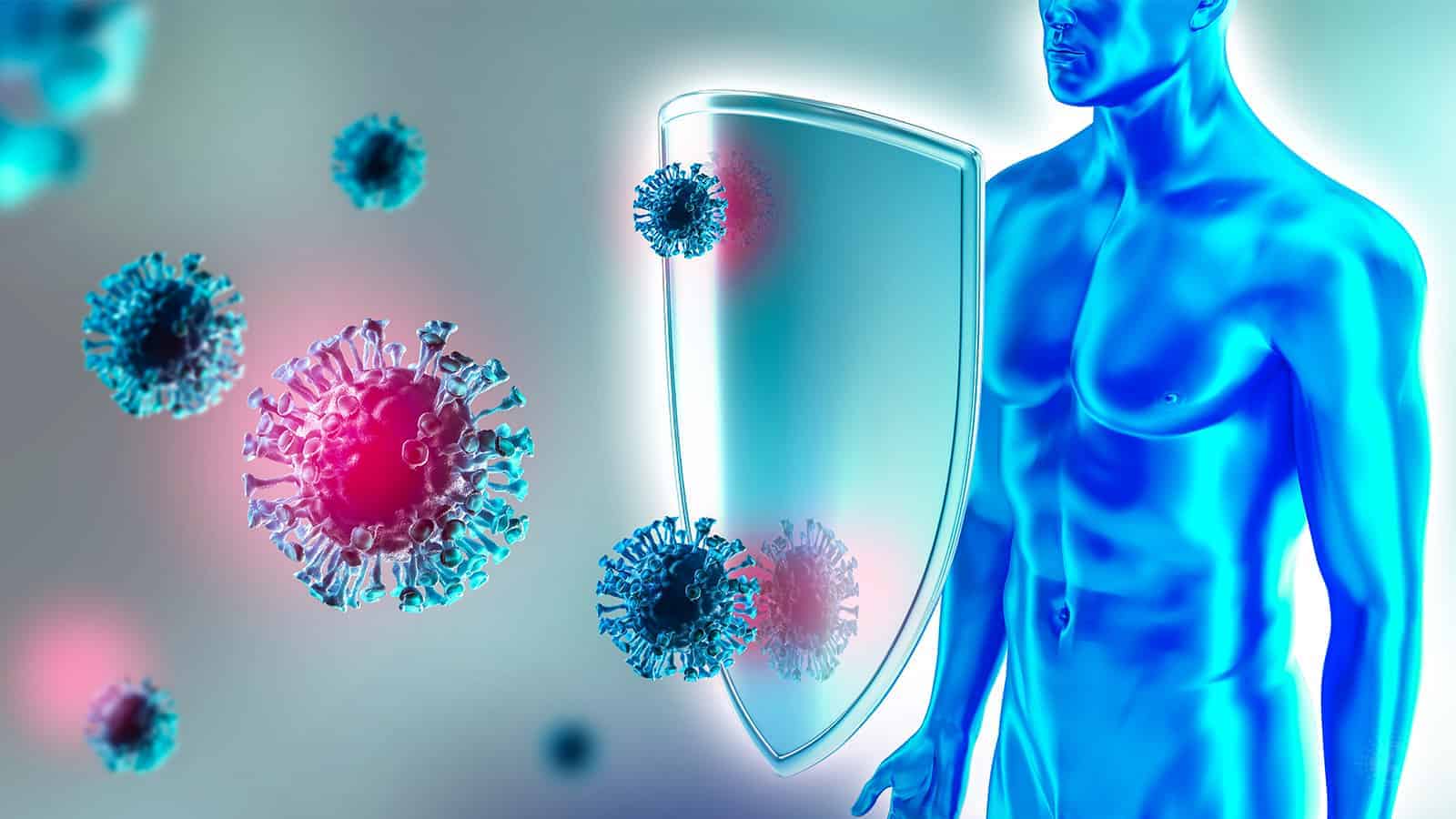 experts-reveal-4-science-backed-ways-to-support-the-immune-system