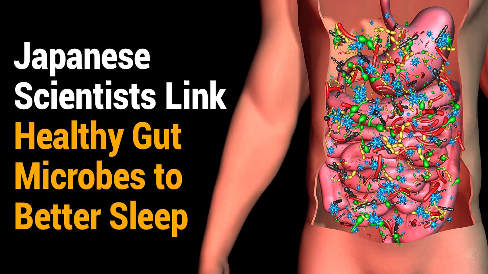Japanese Scientists Link Healthy Gut Microbes to Better Sleep