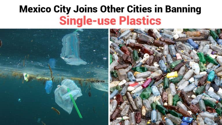 single-use plastics