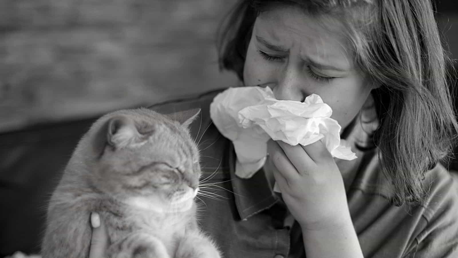 cat allergy treatment