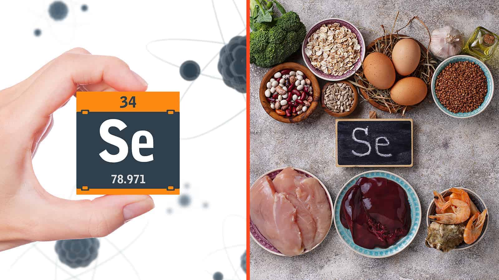 According to science, how selenium can extend lifespan