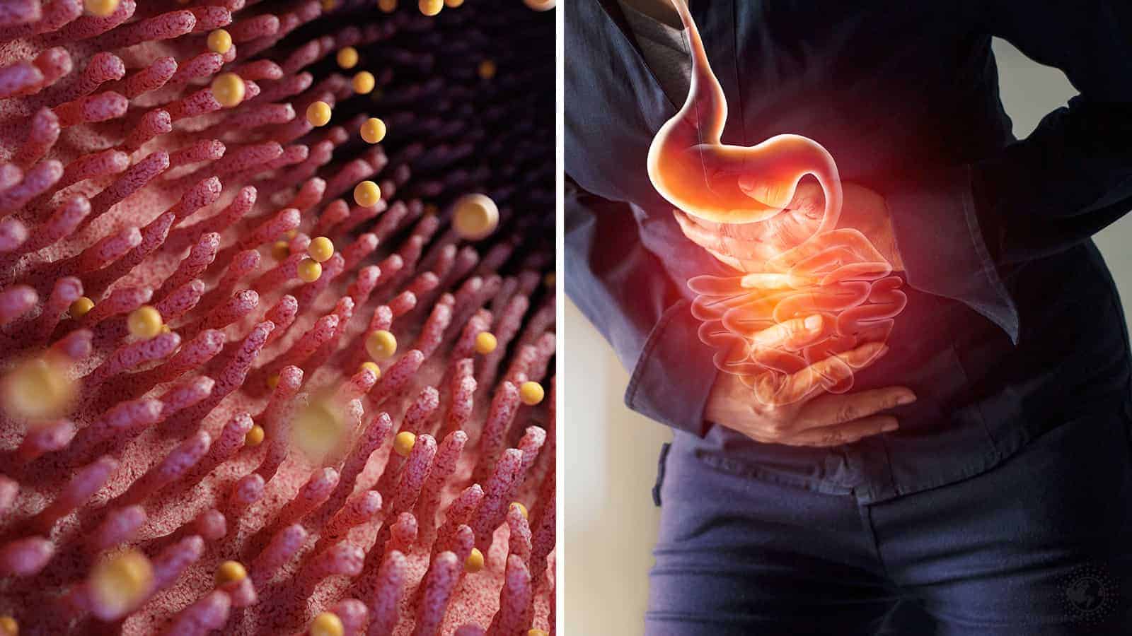 11 Times Poor Digestion Might Mean Something Worse