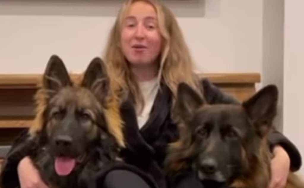 These Are The Most Disciplined German Shepherds You've Ever Seen