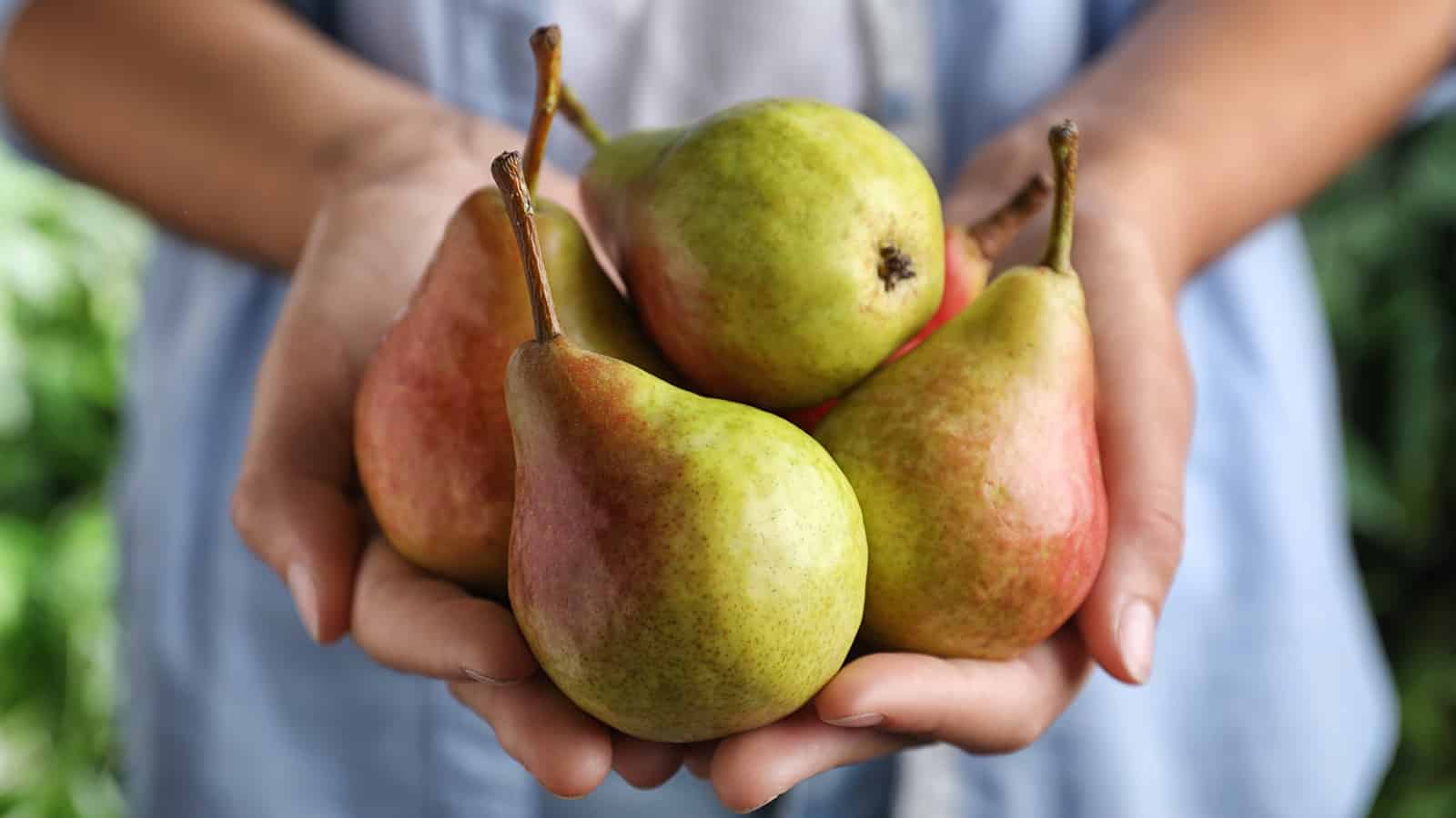 Science Explains What Happens To Your Body When You Eat A Pear Every Day