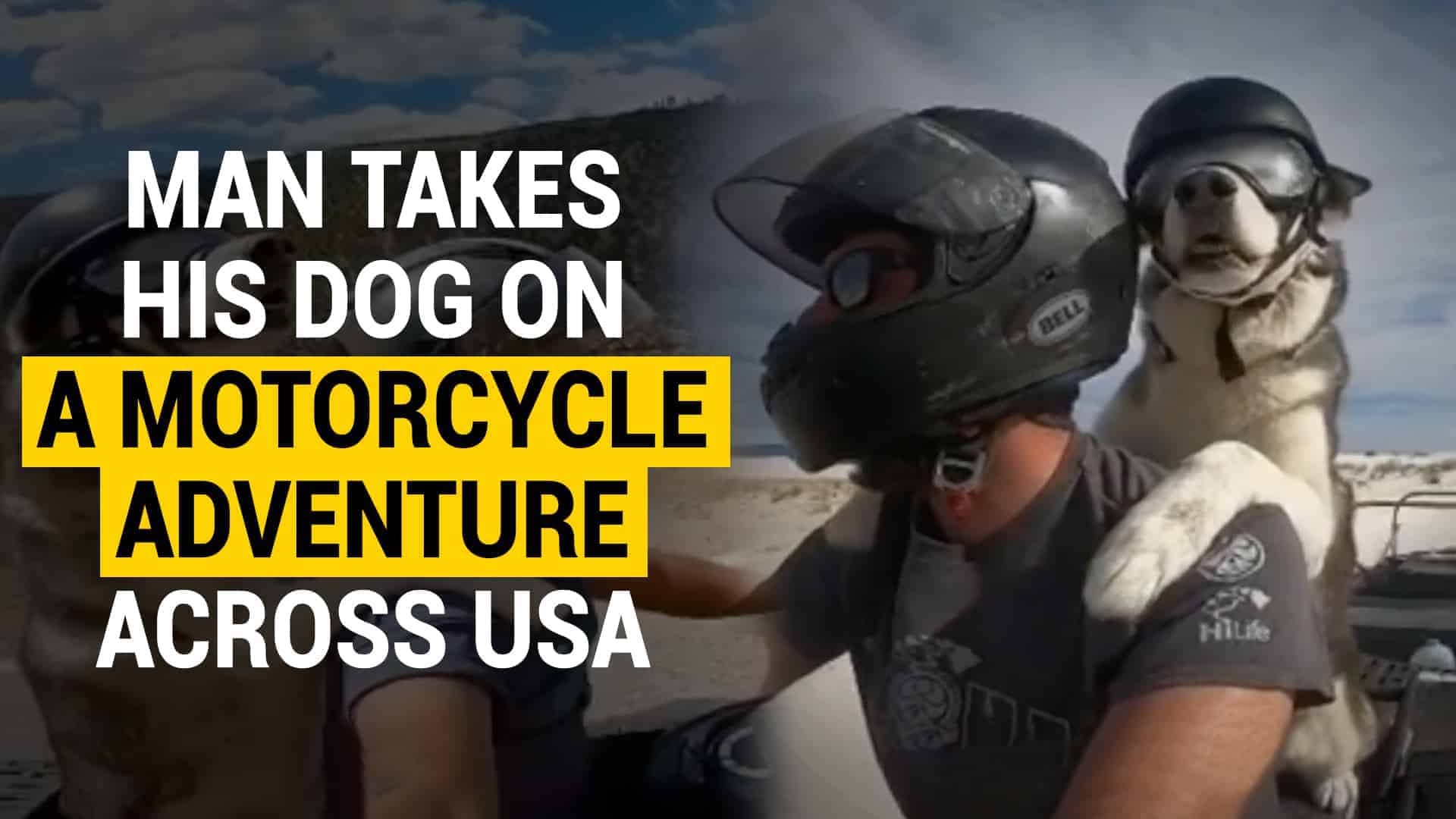 motorcycle adventure pets