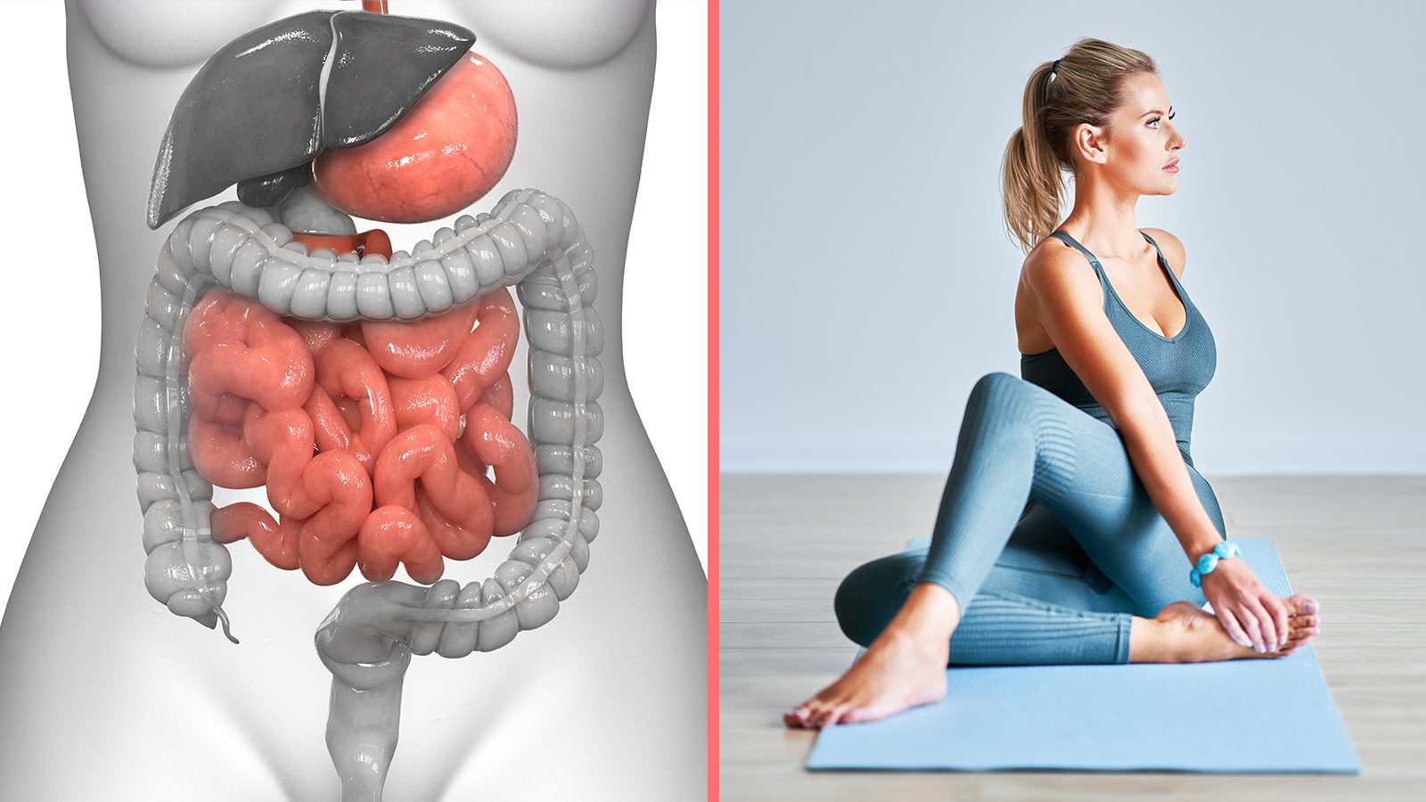 Page 35 | Stomach Exercise Images - Free Download on Freepik