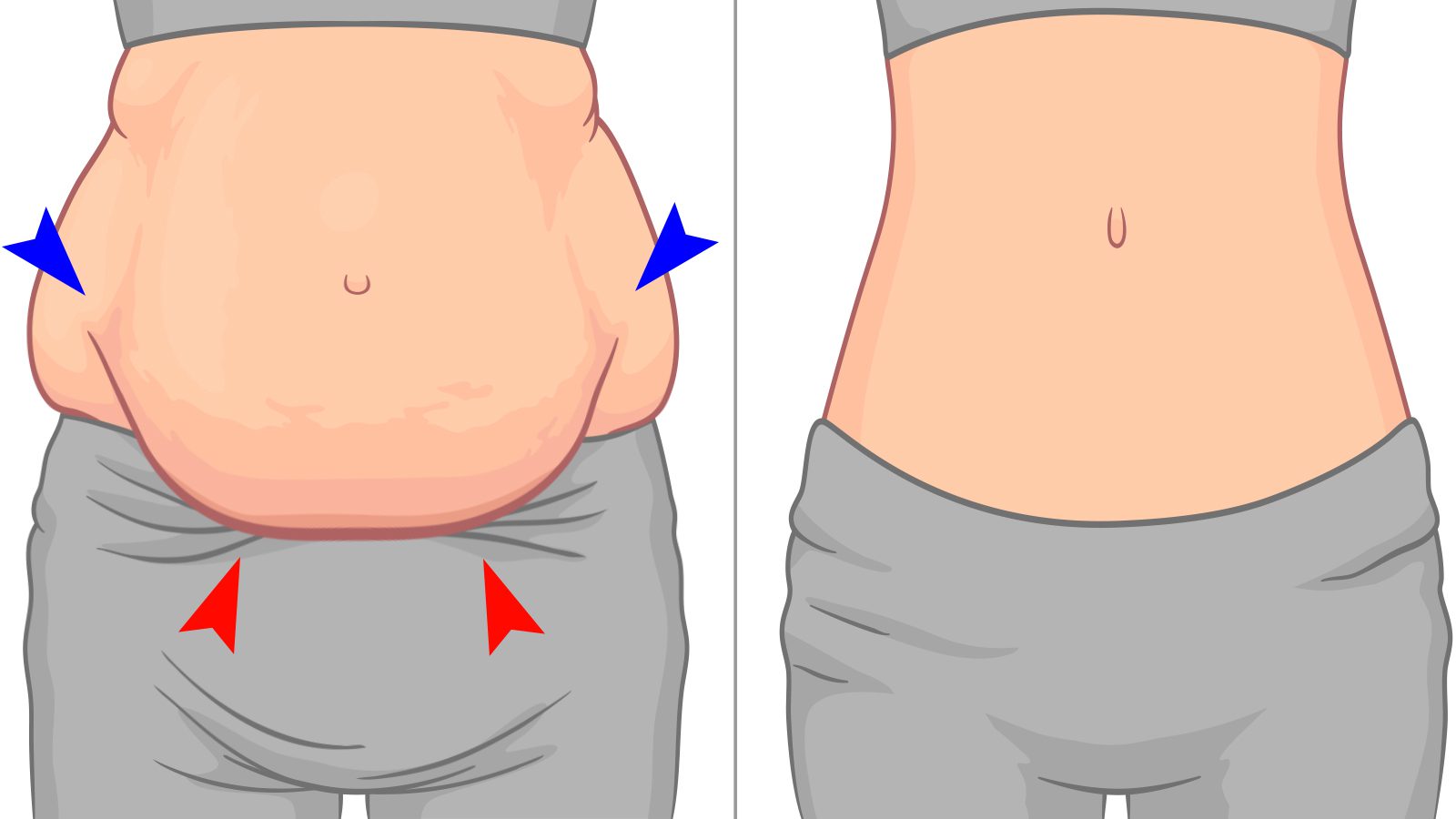 Belly fat reduction and overall health